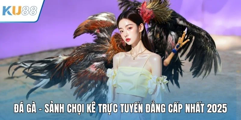Đá Gà – Sảnh Chọi Kê Trực Tuyến Đẳng Cấp Nhất 2025