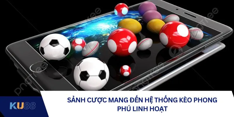 Sảnh cược mang đến hệ thống kèo phong phú linh hoạt Sảnh cược mang đến hệ thống kèo phong phú linh hoạt