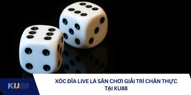 Xóc đĩa live là sân chơi giải trí chân thực tại KU88 Xóc đĩa live là sân chơi giải trí chân thực tại KU88
